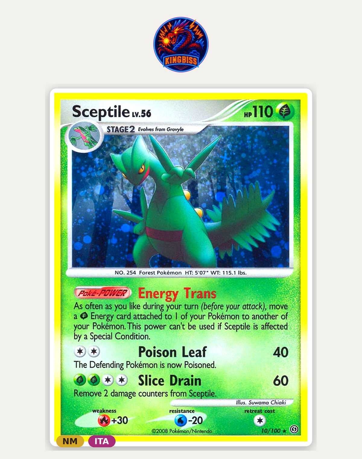 Sceptile 10/100 Stormfront - ITA